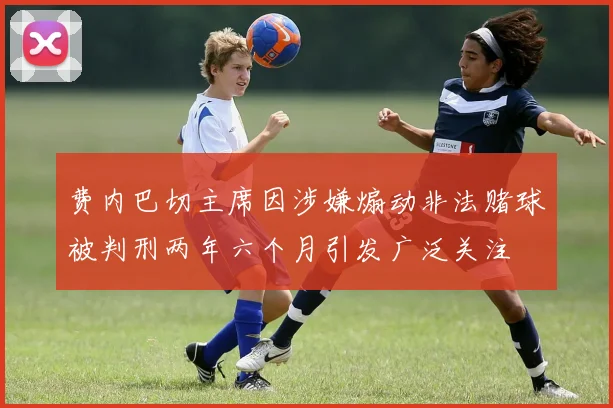 费内巴切主席因涉嫌煽动非法赌球被判刑两年六个月引发广泛关注
