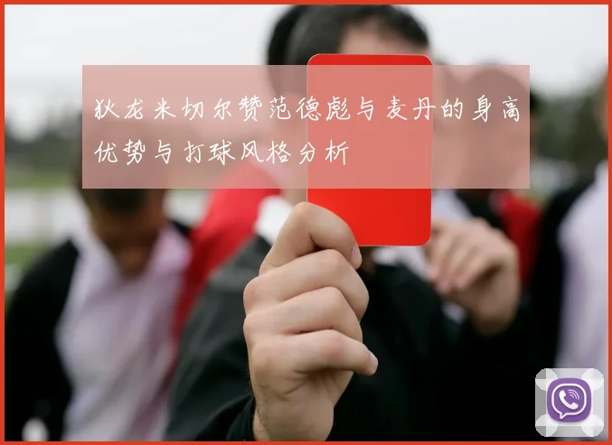 狄龙米切尔赞范德彪与麦丹的身高优势与打球风格分析
