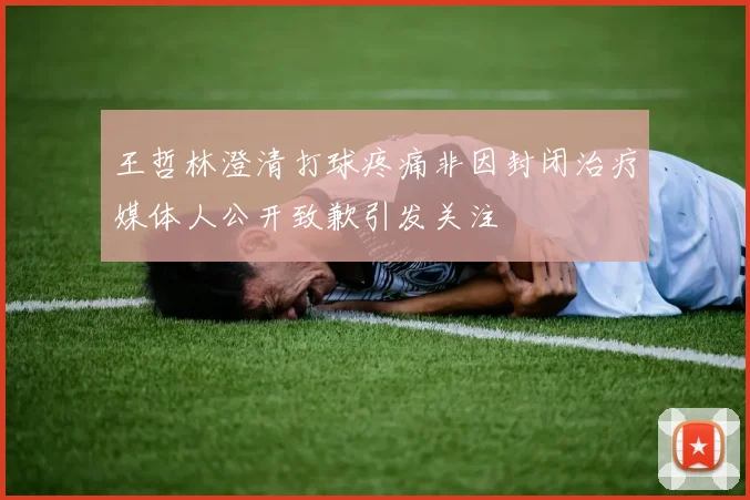 王哲林澄清打球疼痛非因封闭治疗媒体人公开致歉引发关注