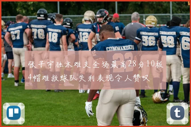 张子宇独木难支全场最高28分10板4帽难救球队失利表现令人赞叹