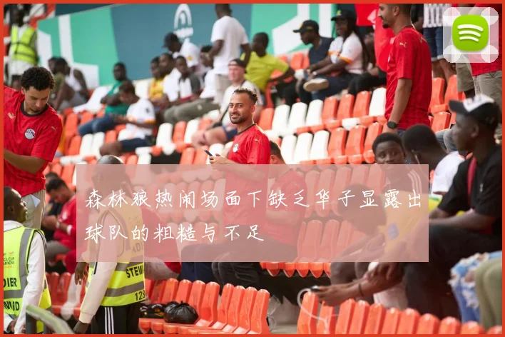 森林狼热闹场面下缺乏华子显露出球队的粗糙与不足